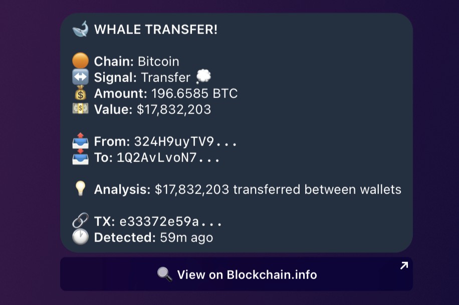 CryptRadar whale alerts